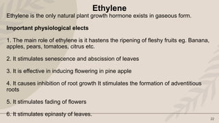 Plant Hormones Physiology and Role.pptx