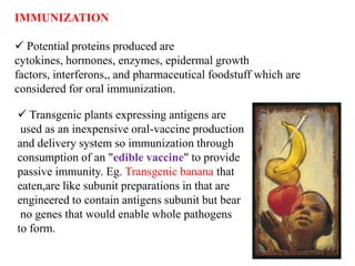 IMMUNIZATION
 Potential proteins produced are
cytokines, hormones, enzymes, epidermal growth
factors, interferons,, and pharmaceutical foodstuff which are
considered for oral immunization.
 Transgenic plants expressing antigens are
used as an inexpensive oral-vaccine production
and delivery system so immunization through
consumption of an "edible vaccine" to provide
passive immunity. Eg. Transgenic banana that
eaten,are like subunit preparations in that are
engineered to contain antigens subunit but bear
no genes that would enable whole pathogens
to form.

 