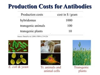 Production Costs for Antibodies
Production costs

cost in $ /gram

hybridomas

1000

transgenic animals
transgenic plants

100
10

Source: Daniell et al. (2001) TIPS 6, 219-226

E. coli & yeast

Tr. animals and
animal cells

Transgenic
plants

 