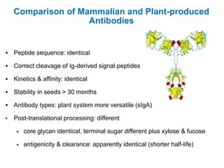 Comparison of Mammalian and Plant-produced
Antibodies



Peptide sequence: identical



Correct cleavage of Ig-derived signal peptides



Kinetics & affinity: identical



Stability in seeds > 30 months



Antibody types: plant system more versatile (sIgA)

•

Post-translational processing: different


core glycan identical, terminal sugar different plus xylose & fucose



antigenicity & clearance: apparently identical (shorter half-life)

 