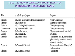 FULL-SIZE MONOCLONAL ANTIBODIES RECENTLY
PRODUCED IN TRANSGENIC PLANTS

 