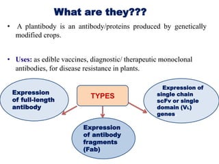 What are they???
• A plantibody is an antibody/proteins produced by genetically
modified crops.
• Uses: as edible vaccines, diagnostic/ therapeutic monoclonal
antibodies, for disease resistance in plants.
Expression
of full-length
antibody

TYPES

Expression
of antibody
fragments
(Fab)

Expression of
single chain
scFv or single
domain (VL)
genes.

 