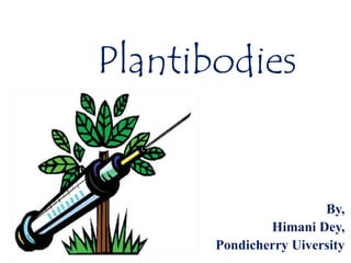 Plantibodies

By,
Himani Dey,
Pondicherry Uiversity

 