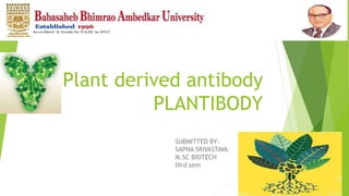 Plant derived antibody
PLANTIBODY
SUBMITTED BY-
SAPNA SRIVASTAVA
M.SC BIOTECH
IIIrd sem
 