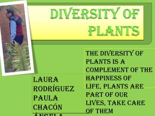 Diversity of Plants The diversity of plants is a complement of the happiness of life, plants are part of our lives, take care of them Laura Rodríguez Paula Chacón Ángela mora Valentina Zuluaga 