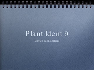 Plant Ident 9 ,[object Object]