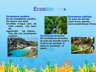 Ecosistemes
Ecosistemes aquàtics:                                    Ecosistemes artificials:
En els ecosistemes aquàtics                               Es quan els animals
Els éssers vius estan                                    viuen al zoo, aquaris...
envoltats d´aigua com: els                               Llocs construïts per l'home
  mars, oceans, rius, llacs,
  els
aiguamolls,    les basses...
  Tots ells són ecosistemes
  aquàtics .                   Ecosistemes terrestres:
                               Els ecosistemes terrestres
                               és quan els animals viuen a
                               la terra, per exemple: la
                               selva, la muntanya, el
                               desert. ..
 