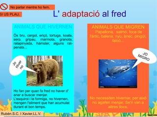 No parlar mentre ho fem.

SI US PLAU.                      L' adaptació al fred
        ANIMALS QUE HIVERNEN                     ANIMALS QUE MIGREN
                                                    Papallona, salmó, foca de
       Ós bru, cargol, eriçó, tortuga, koala,   l'àrtic, balena, nyu, ànec, pingüí,
       serp, gripau, marmota, granota,                         falcó...
       ratapinyada, hàmster, alguns rat-
       penats...
                                                                                J
                                                                             MIG O
                                                                                 RO
      no er
         Jo
       Hiv




       Ho fan per quan fa fred no haver d'
       anar a buscar menjar.
       L'esquirol i la formiga, no hivernen,    No necessiten hivernar, per això
       mengen l'aliment que han acumulat         no agafen menjar. Se'n van a
       durant el bon temps.                              altres llocs.
Rubén.S.C. I Xavier.LL.V.
 