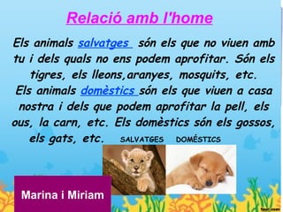 Relació amb l'home
Els animals salvatges són els que no viuen amb
tu i dels quals no ens podem aprofitar. Són els
    tigres, els lleons,aranyes, mosquits, etc.
 Els animals domèstics són els que viuen a casa
 nostra i dels que podem aprofitar la pell, els
ous, la carn, etc. Els domèstics són els gossos,
    els gats, etc. SALVATGES DOMÉSTICS



 Marina i Miriam
 