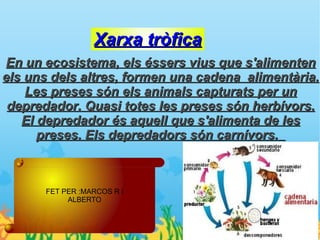 Xarxa tròfica
En un ecosistema, els éssers vius que s'alimenten
els uns dels altres, formen una cadena alimentària.
    Les preses són els animals capturats per un
 depredador. Quasi totes les preses són herbívors.
   El depredador és aquell que s'alimenta de les
      preses. Els depredadors són carnívors.



       FET PER :MARCOS R i
            ALBERTO
 