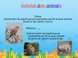 Activitat dels animals

                              Diürns
Animal diürn és aquell que es caracteritza per fer la seva activitat
                  durant el dia i dormir a la nit.

                       Nocturns    5

                       Animal nocturn és aquell que es
                        caracteritza per fer la seva activitat
                        durant la nit i dormir durant el dia.



        Pol I Joel
 
