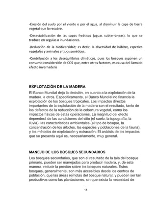11
-Erosión del suelo por el viento o por el agua, al disminuir la capa de tierra
vegetal que lo recubre.
-Desestabilización de las capas freáticas (aguas subterráneas), lo que se
traduce en seguías o inundaciones.
-Reducción de la biodiversidad; es decir, la diversidad de hábitat, especies
vegetales y animales y tipos genéticos.
-Contribución a los desequilibrios climáticos, pues los bosques suponen un
consumo considerable de CO2 que, entre otros factores, es causa del llamado
efecto invernadero
EXPLOTACIÓN DE LA MADERA
El Banco Mundial deja la decisión, en cuanto a la explotación de la
madera, a otros. Específicamente, el Banco Mundial no financia la
explotación de los bosques tropicales. Los impactos directos
importantes de la explotación de la madera son el resultado, tanto de
los defectos de la reducción de la cobertura vegetal, como los
impactos físicos de estas operaciones. La magnitud del efecto
dependerá de las condiciones del sitio (el suelo, la topografía, la
lluvia), las características ambientales (el tipo de bosque, la
concentración de los árboles, las especies y poblaciones de la fauna),
y los métodos de explotación y extracción. El análisis de los impactos
que se presenta aquí es, necesariamente, muy general.
MANEJO DE LOS BOSQUES SECUNDARIOS
Los bosques secundarios, que son el resultado de la tala del bosque
primario, pueden ser manejados para producir madera, y, de esta
manera, reducir la presión sobre los bosques naturales. Estos
bosques, generalmente, son más accesibles desde los centros de
población, que las áreas remotas del bosque natural, y pueden ser tan
productivos como las plantaciones, sin que exista la necesidad de
 