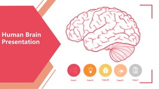 Human Brain
Presentation
Tema I Tema II Tema III Tema IV Tema V
 