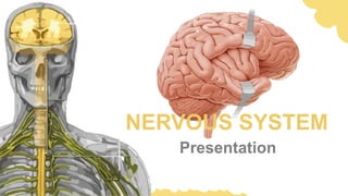 Presentation
NERVOUS SYSTEM
 