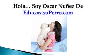 Hola… Soy Oscar Nuñez De
   EducarasuPerro.com
 