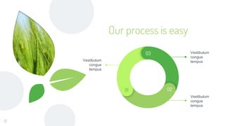 Our process is easy
17
Vestibulum
congue
tempus
Vestibulum
congue
tempus
Vestibulum
congue
tempus
03
01 02
 