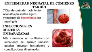 ENFERMEDAD NEONATAL DE COMIENZO
TARDÍO
7 Días después del nacimiento,
neonatos presentan signos
y síntomas de bacteriemia con
meningitis
INFECCIONES EN
MUJERES
EMBARAZADAS
Más a menudo, se manifiestan con
infecciones del aparato urinario;
pueden provocar bacteriemia y
complicaciones diseminadas
 