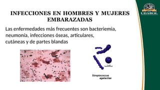 INFECCIONES EN HOMBRES Y MUJERES
EMBARAZADAS
Las enfermedades más frecuentes son bacteriemia,
neumonía, infecciones óseas, articulares,
cutáneas y de partes blandas
 