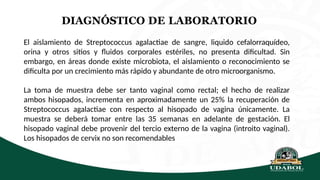 DIAGNÓSTICO DE LABORATORIO
El aislamiento de Streptococcus agalactiae de sangre, liquido cefalorraquídeo,
orina y otros sitios y fluidos corporales estériles, no presenta dificultad. Sin
embargo, en áreas donde existe microbiota, el aislamiento o reconocimiento se
dificulta por un crecimiento más rápido y abundante de otro microorganismo.
La toma de muestra debe ser tanto vaginal como rectal; el hecho de realizar
ambos hisopados, incrementa en aproximadamente un 25% la recuperación de
Streptococcus agalactiae con respecto al hisopado de vagina únicamente. La
muestra se deberá tomar entre las 35 semanas en adelante de gestación. El
hisopado vaginal debe provenir del tercio externo de la vagina (introito vaginal).
Los hisopados de cervix no son recomendables
 