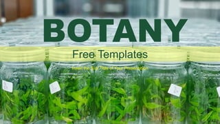 Free Templates
Insert the Sub Tittle of Your Presentation
BOTANY
 