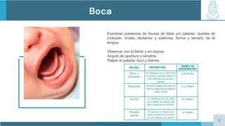 Labio Reposo Plantilla-PowerPoint-de-Pediatra.pptx