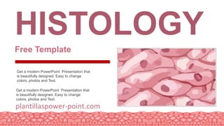 HISTOLOGY
Free Template
Get a modern PowerPoint Presentation that
is beautifully designed. Easy to change
colors, photos and Text.
Get a modern PowerPoint Presentation that
is beautifully designed. Easy to change
colors, photos and Text.
plantillaspower-point.com
 
