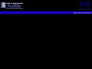 Seguridad Computacional
 