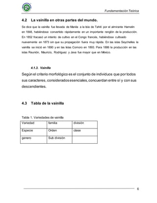 Fundamentación Teórica
6
4.2 La vainilla en otras partes del mundo.
Se dice que la vainilla fue llevada de Manila a la Isla de Tahití por el almirante Hamelin
en 1848, habiéndose convertido rápidamente en un importante renglón de la producción.
En 1852 fracasó un intento de cultivo en el Congo francés, habiéndose cultivado
nuevamente en 1873 sin que su propagación fuera muy rápida. En las islas Seychelles la
vainilla se inició en 1890 y en las Islas Comoro en 1893. Para 1886 la producción en las
islas Reunión, Mauricio, Rodríguez y Java fue mayor que en México.
4.1.3. Vainilla
Según el criterio morfológico es el conjunto de individuos que por todos
sus caracteres, consideradosesenciales,concuerdan entre sí y con sus
descendientes.
4.3 Tabla de la vainilla
Tabla 1. Variedades de vainilla
Variedad familia división
Especie Orden clase
genero Sub división
 