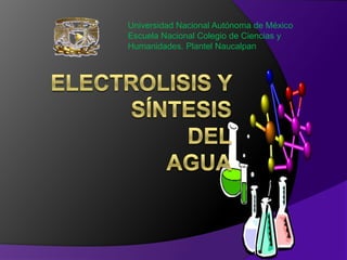 Universidad Nacional Autónoma de México
Escuela Nacional Colegio de Ciencias y
Humanidades. Plantel Naucalpan
 
