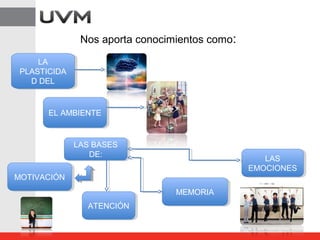 Nos aporta conocimientos como:
LA
PLASTICIDA
D DEL
LA
PLASTICIDA
D DEL
EL AMBIENTEEL AMBIENTE
MOTIVACIÓNMOTIVACIÓN
ATENCIÓNATENCIÓN
MEMORIAMEMORIA
LAS
EMOCIONES
LAS
EMOCIONES
LAS BASES
DE:
LAS BASES
DE:
 