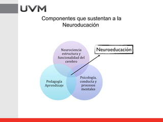 Componentes que sustentan a la
Neuroducación
 
