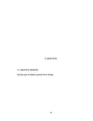 14
2. OBJETIVOS
2.1 OBJETIVO GENERAL
Escribe aquí el objetivo general de tu trabajo
 