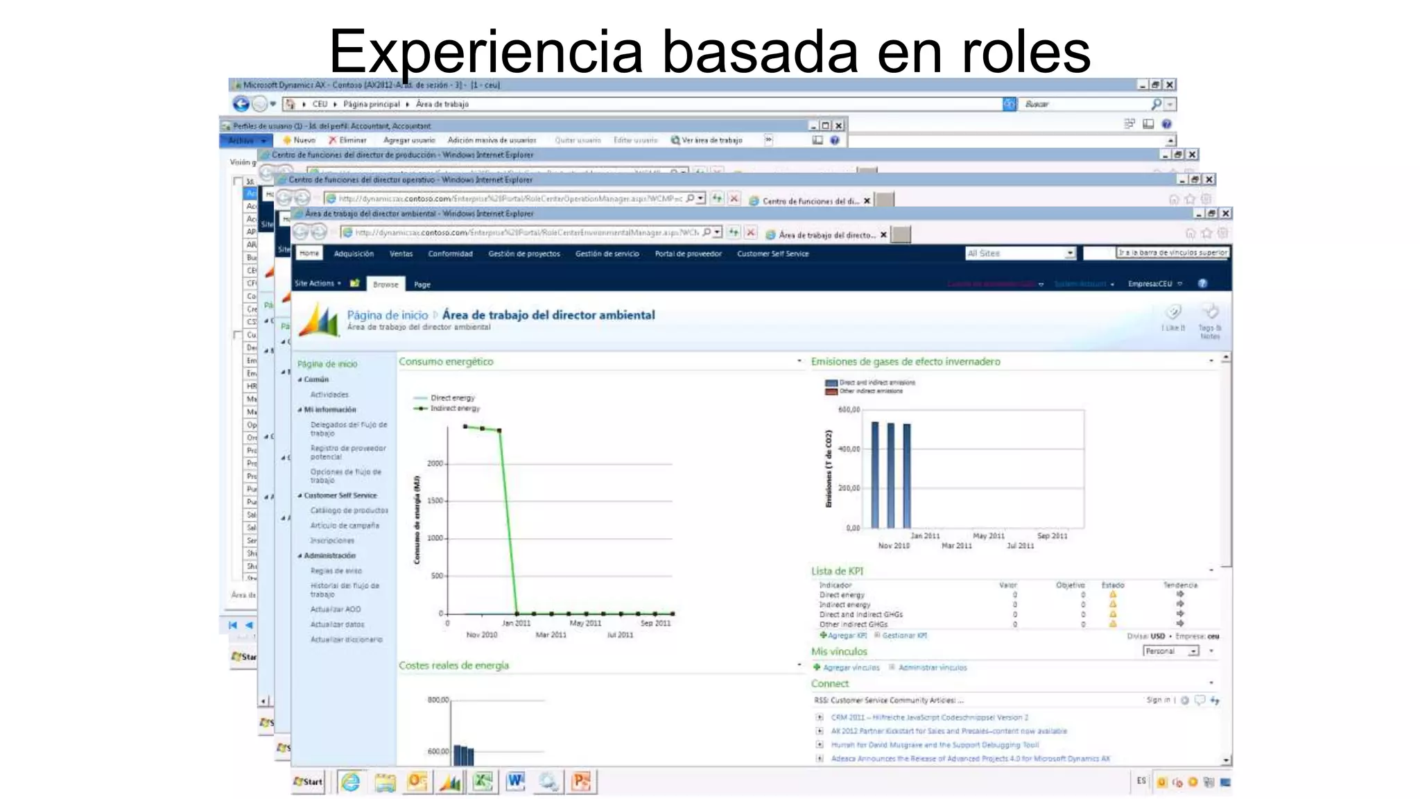Experiencia basada en roles
 