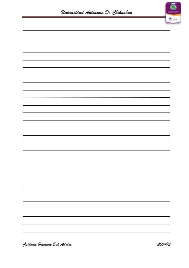 Plantilla cuaderno
