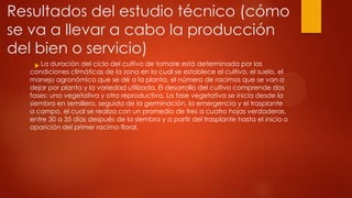 Resultados del estudio técnico (cómo
se va a llevar a cabo la producción
del bien o servicio)
 La duración del ciclo del cultivo de tomate está determinada por las

condiciones climáticas de la zona en la cual se establece el cultivo, el suelo, el
manejo agronómico que se dé a la planta, el número de racimos que se van a
dejar por planta y la variedad utilizada. El desarrollo del cultivo comprende dos
fases: una vegetativa y otra reproductiva. La fase vegetativa se inicia desde la
siembra en semillero, seguida de la germinación, la emergencia y el trasplante
a campo, el cual se realiza con un promedio de tres a cuatro hojas verdaderas,
entre 30 a 35 días después de la siembra y a partir del trasplante hasta el inicio o
aparición del primer racimo floral.

 