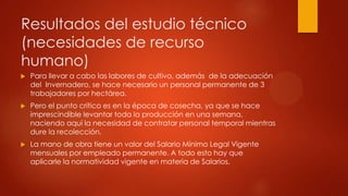 Resultados del estudio técnico
(necesidades de recurso
humano)


Para llevar a cabo las labores de cultivo, además de la adecuación
del Invernadero, se hace necesario un personal permanente de 3
trabajadores por hectárea.



Pero el punto crítico es en la época de cosecha, ya que se hace
imprescindible levantar toda la producción en una semana,
naciendo aquí la necesidad de contratar personal temporal mientras
dure la recolección.



La mano de obra tiene un valor del Salario Mínimo Legal Vigente
mensuales por empleado permanente. A todo esto hay que
aplicarle la normatividad vigente en materia de Salarios.

 