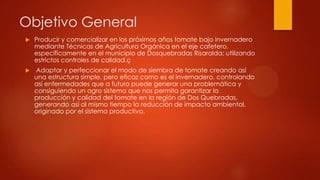 Objetivo General


Producir y comercializar en los próximos años tomate bajo invernadero
mediante Técnicas de Agricultura Orgánica en el eje cafetero,
específicamente en el municipio de Dosquebradas Risaralda; utilizando
estrictos controles de calidad.ç



Adaptar y perfeccionar el modo de siembra de tomate creando así
una estructura simple, pero eficaz como es el invernadero, controlando
así enfermedades que a futuro puede generar una problemática y
consiguiendo un agro sistema que nos permita garantizar la
producción y calidad del tomate en la región de Dos Quebradas,
generando así al mismo tiempo la reducción de impacto ambiental,
originado por el sistema productivo.

 