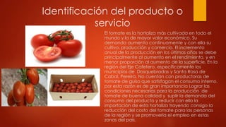 Identificación del producto o
servicio
El tomate es la hortaliza más cultivada en todo el
mundo y la de mayor valor económico. Su
demanda aumenta continuamente y con ella su
cultivo, producción y comercio. El incremento
anual de la producción en los últimos años se debe
principalmente al aumento en el rendimiento, y en
menor proporción al aumento de la superficie. En la
región del Eje Cafetero, específicamente los
municipios de Dosquebradas y Santa Rosa de
Cabal, Pereira, No cuentan con productoras de
tomate de guiso que satisfagan el consumo interno,
por esta razón es de gran importancia Lograr las
condiciones necesarias para la producción de
tomate de buena calidad y suplir la demanda del
consumo del producto y reducir con ello la
importación de esta hortaliza trayendo consigo la
reducción del costo del tomate para las personas
de la región y se promovería el empleo en estas
zonas del país.

 