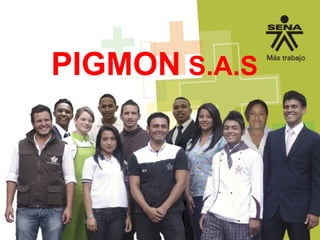 PIGMON S.A.S
 