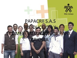 PAPACRII S.A.S
PRODUCCION Y
COMERCIALIZACIÓN DE PAPA
CRIOLLA
 