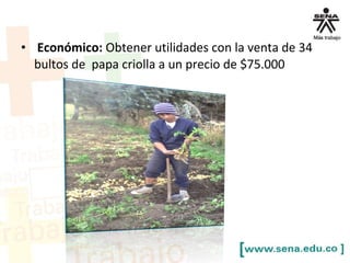 • Económico: Obtener utilidades con la venta de 34
bultos de papa criolla a un precio de $75.000
 