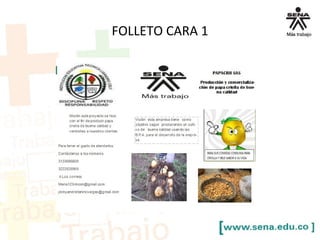 FOLLETO CARA 1
 