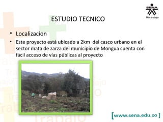 ESTUDIO TECNICO
• Localizacion
• Este proyecto está ubicado a 2km del casco urbano en el
sector mata de zarza del municipio de Mongua cuenta con
fácil acceso de vías públicas al proyecto
 