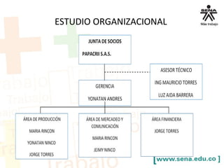 ESTUDIO ORGANIZACIONAL
 