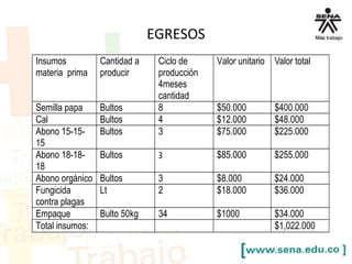 EGRESOS
Insumos
materia prima
Cantidad a
producir
Ciclo de
producción
4meses
cantidad
Valor unitario Valor total
Semilla papa Bultos 8 $50.000 $400.000
Cal Bultos 4 $12.000 $48.000
Abono 15-15-
15
Bultos 3 $75.000 $225.000
Abono 18-18-
18
Bultos 3 $85.000 $255.000
Abono orgánico Bultos 3 $8.000 $24.000
Fungicida
contra plagas
Lt 2 $18.000 $36.000
Empaque Bulto 50kg 34 $1000 $34.000
Total insumos: $1,022.000
 