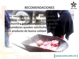 RECOMENDACIONES
Se les recomienda cultivar papa criolla
porque es viable ya que deja una ganancia
muy buena y genera empleo, para que los
consumidores queden satisfechos de un
buen producto de buena calidad.
 