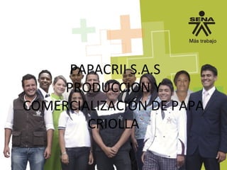 PAPACRII S.A.S
PRODUCCION Y
COMERCIALIZACIÓN DE PAPA
CRIOLLA
 