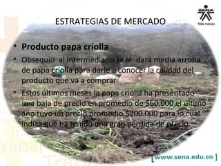 ESTRATEGIAS DE MERCADO
• Producto papa criolla
• Obsequio al intermediario se le dará media arroba
de papa criolla para darle a conocer la calidad del
producto que va a comprar
• Estos últimos meses la papa criolla ha presentado
una baja de precio en promedio de $60.000 el último
año tuvo un precio promedio $200.000 para lo cual
indica que ha tenido una gran pérdida de precio
 