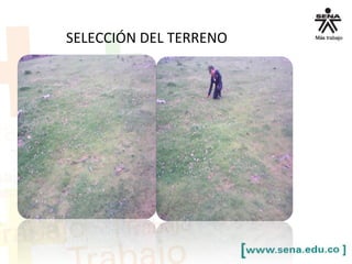 SELECCIÓN DEL TERRENO
 