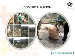 COMERCIALIZACION
 